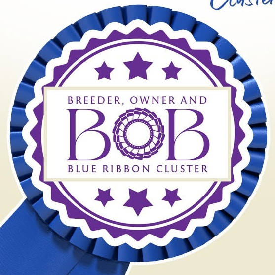 The 2026 B.O.B. Cluster