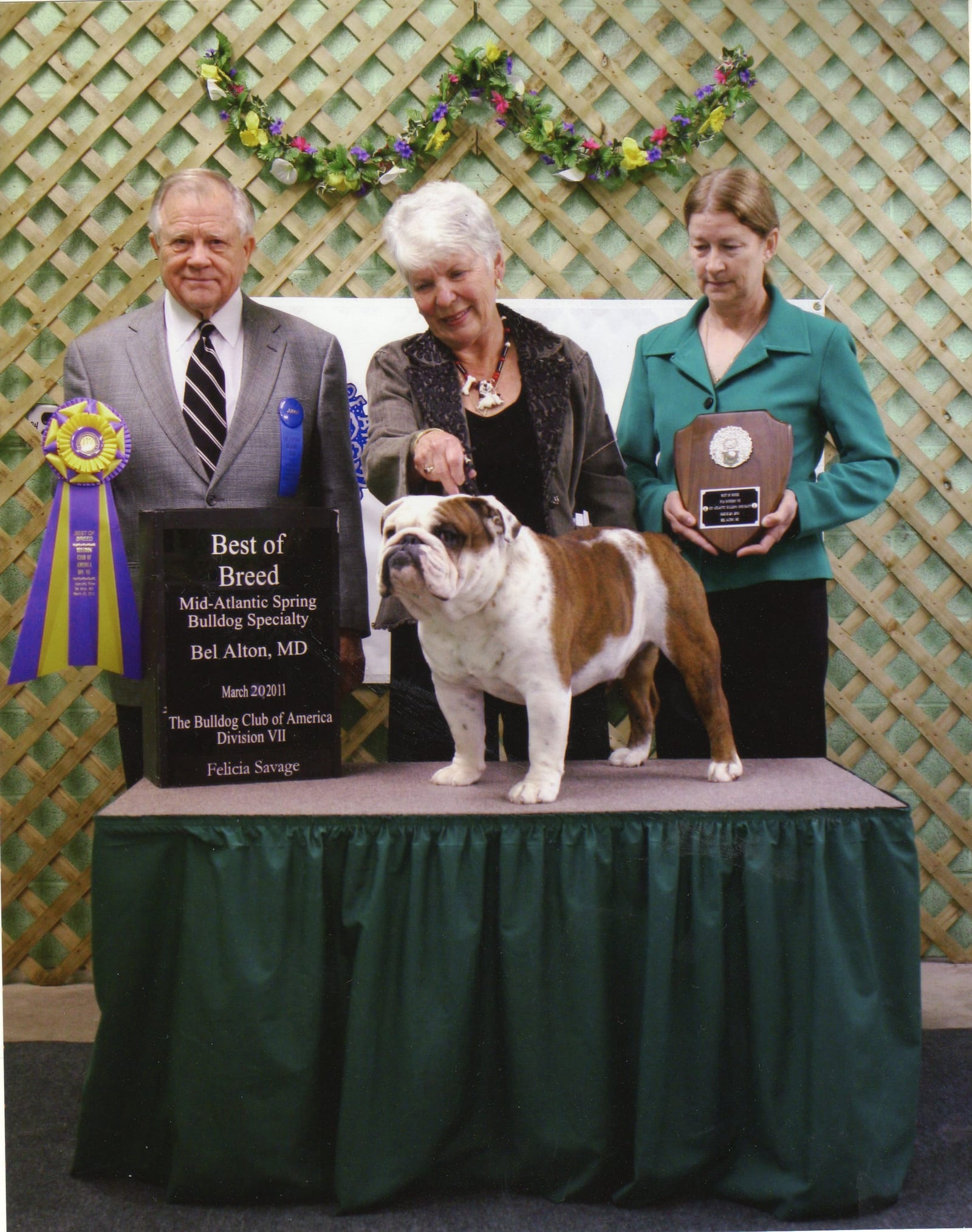 Best of Breed