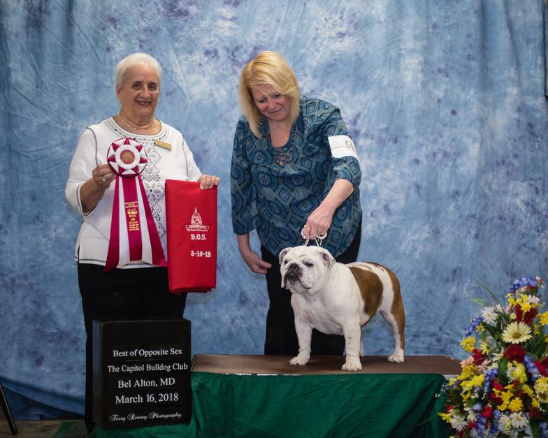 Best of Opposite Sex