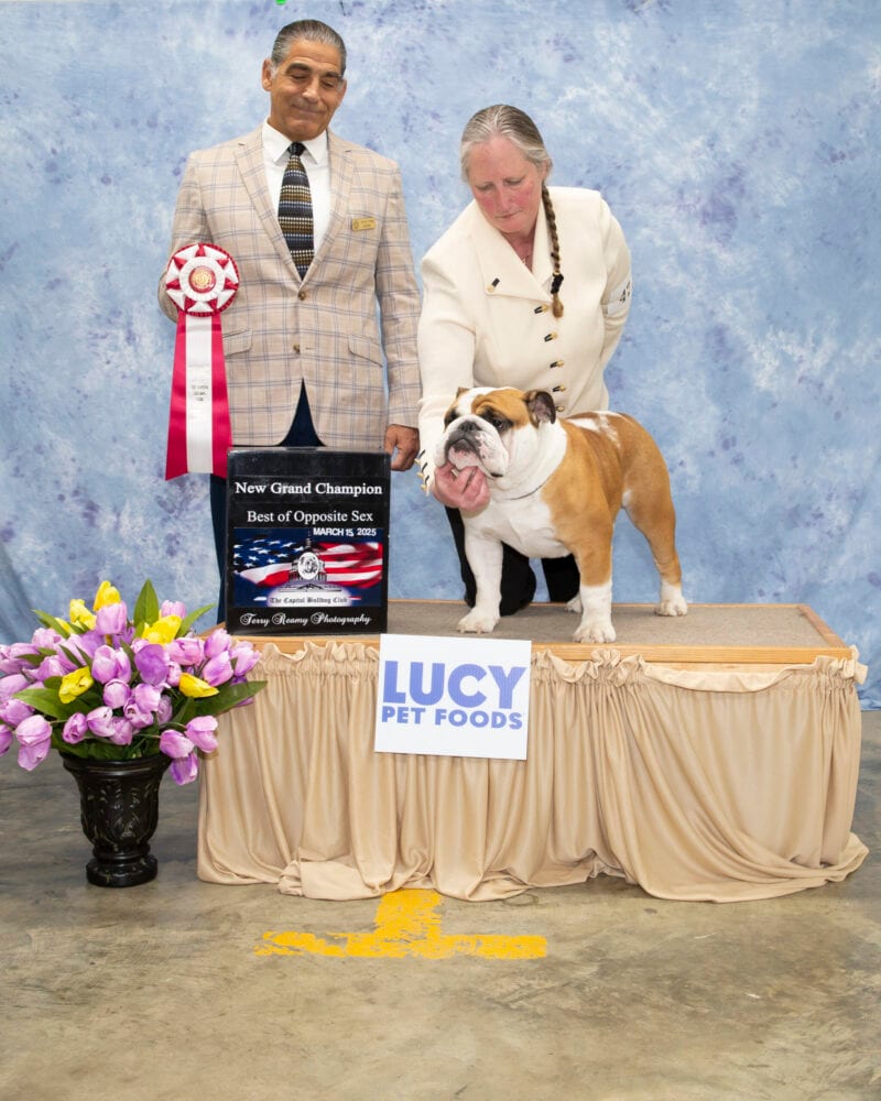 Best of Opposite Sex