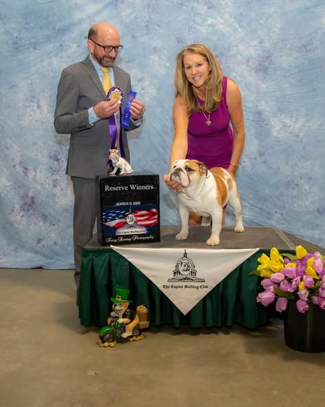 Reserve Winner Bitch