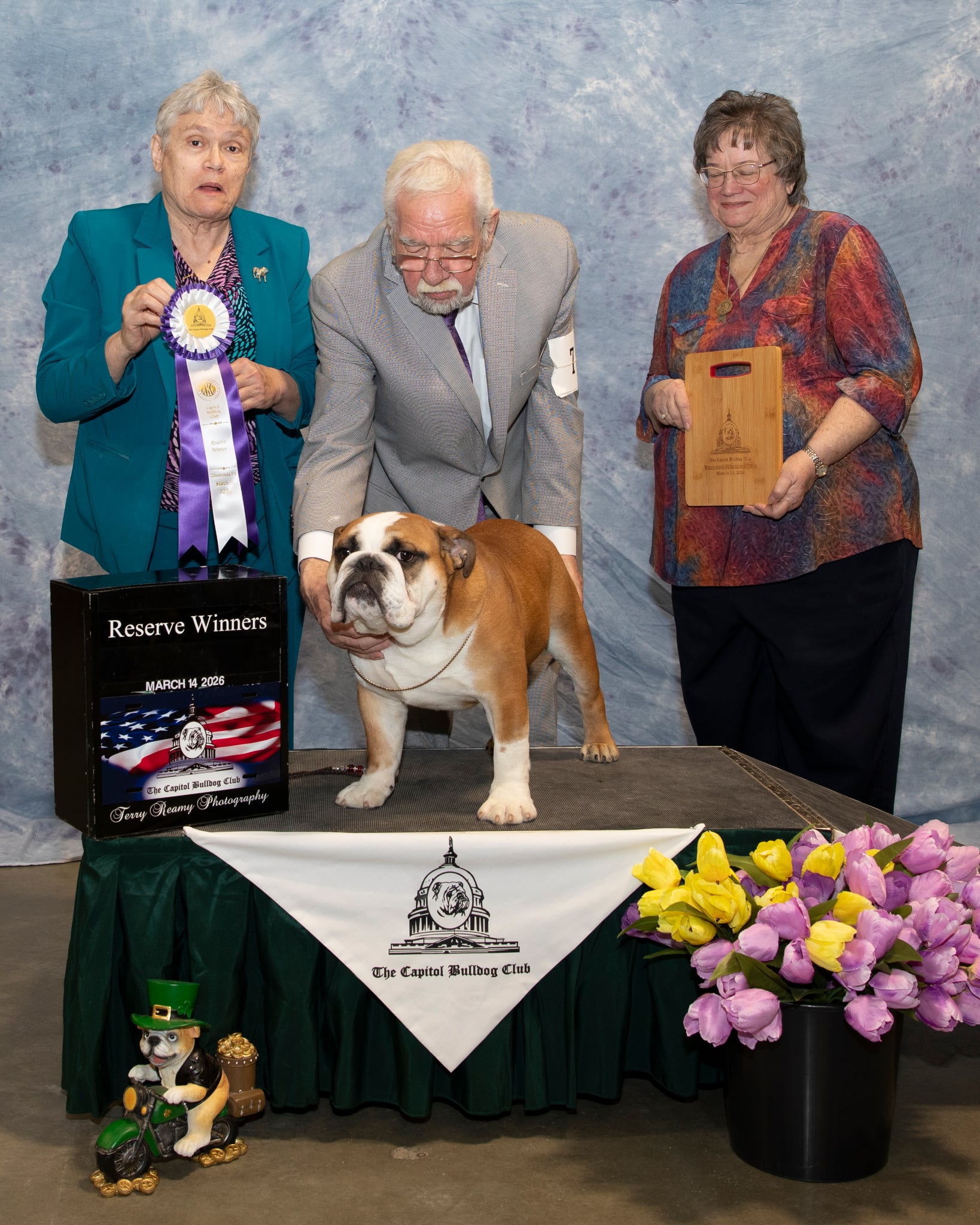 Reserve Winner Dog